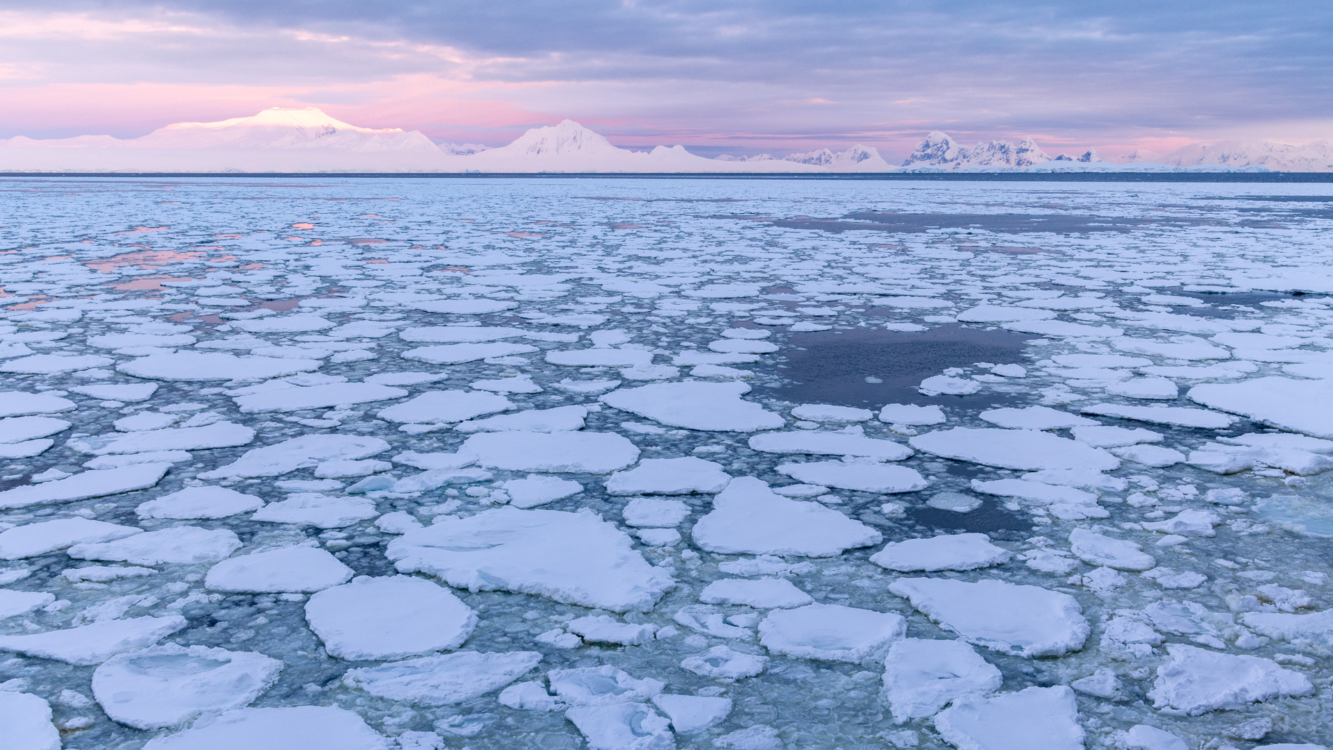 Sea ice at sunset