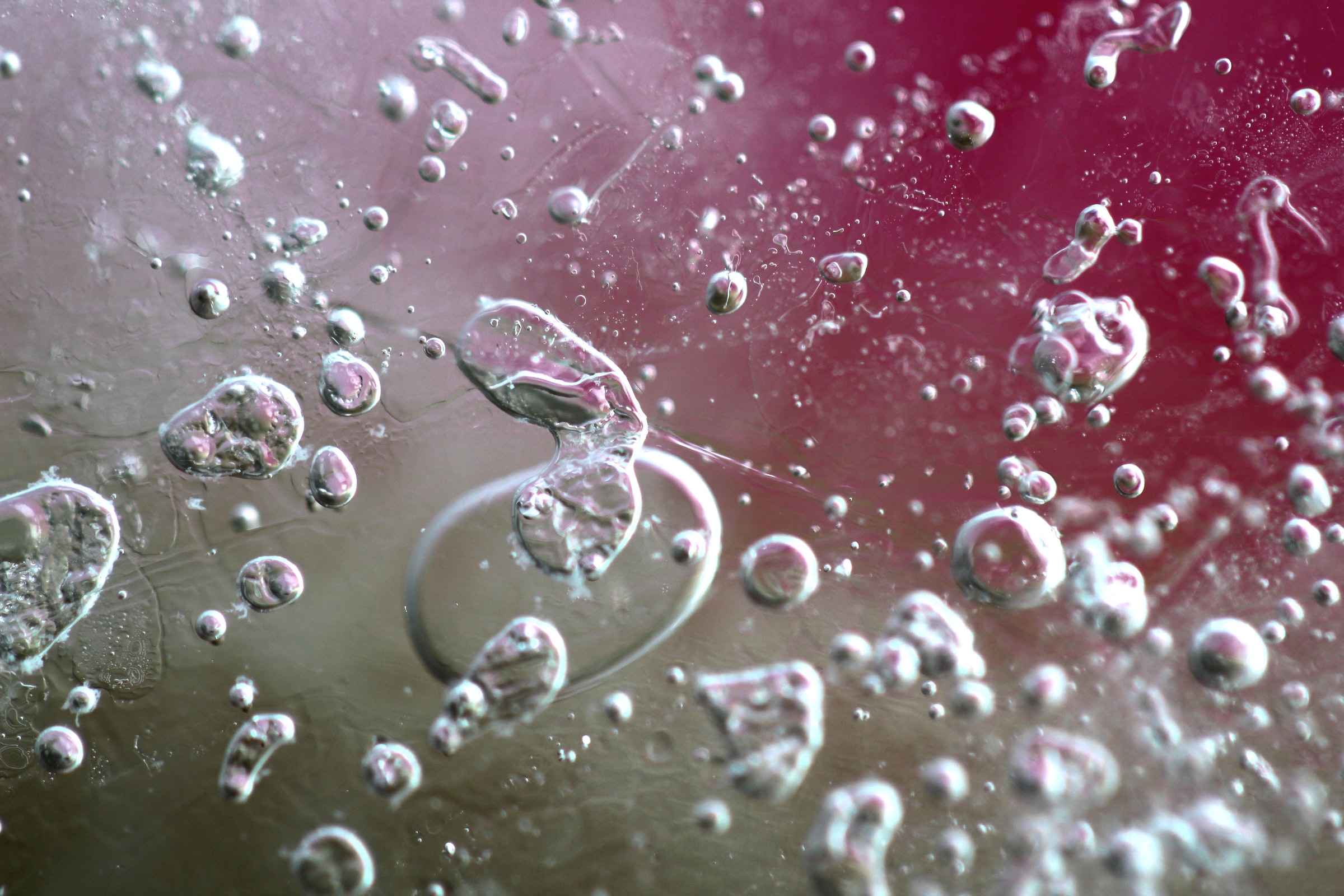 Iceberg in polar waters